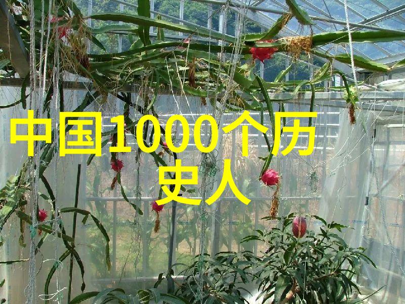 秦国时期的巨星韩非侯智慧闪耀前世前363年