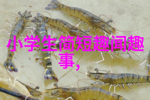 时间旅行者的日记一年一度的历史主题活动孩子们将从这些经典故事中学到什么