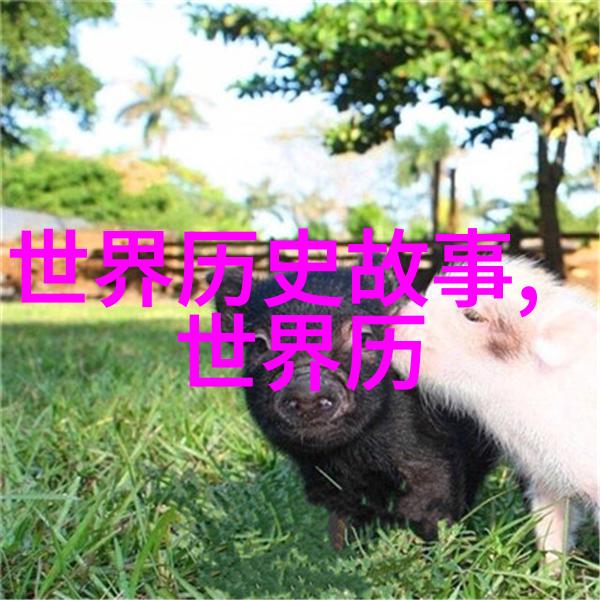 挖掘历史真相二战中的壮举与牺牲