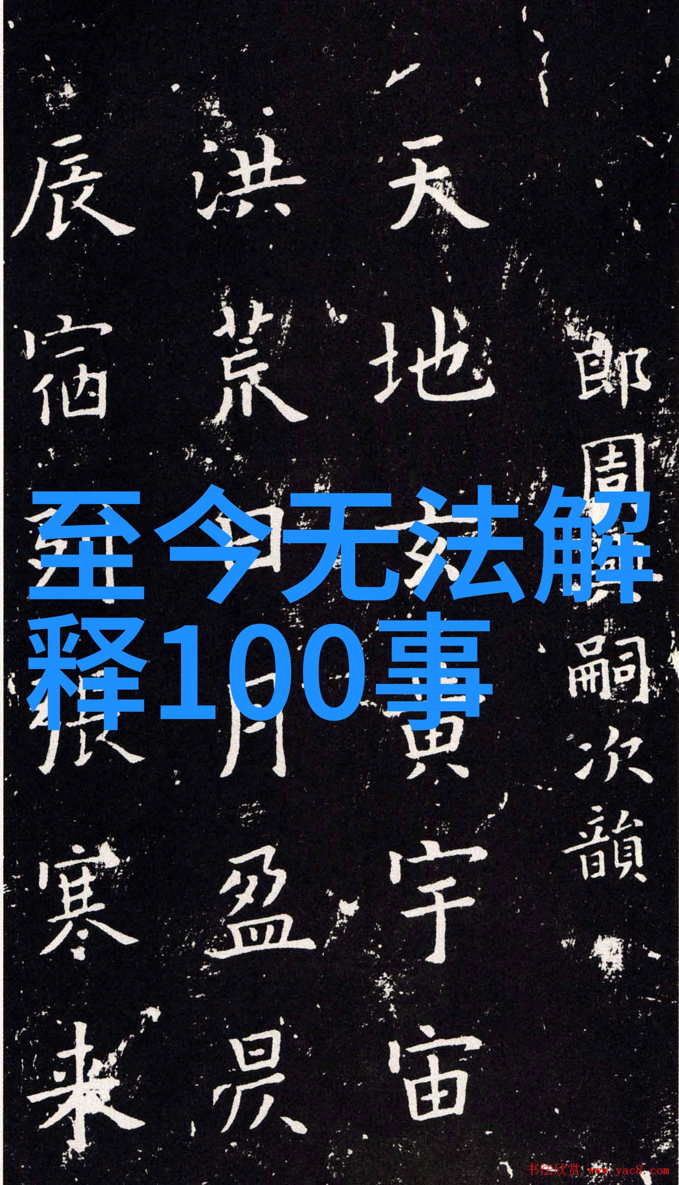 小兔子与大熊森林里的友谊故事