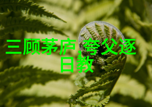明朝那些事儿电视剧演员表背后的宋朝与清代交接之谜