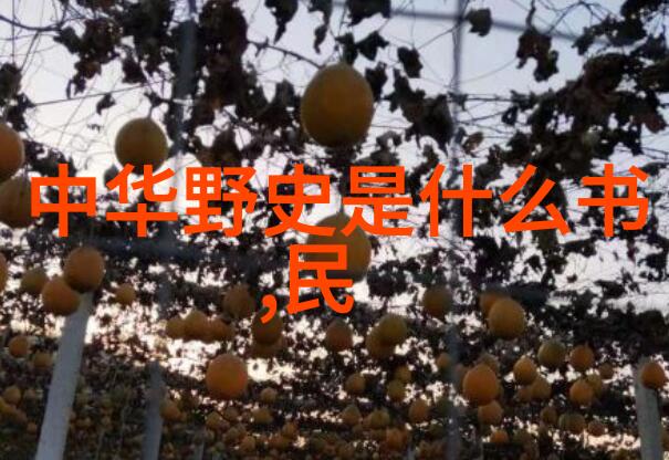 大海之巅天空之下中国神话故事大全集中那些关于自然元素的传说