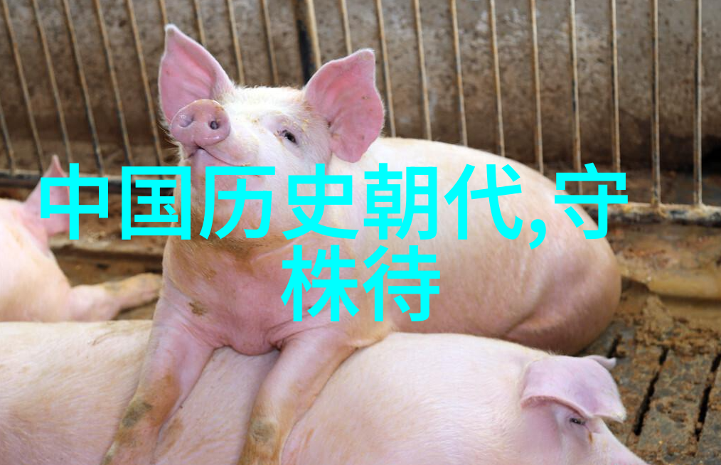 历史的长河流转的记忆与沉默的声响