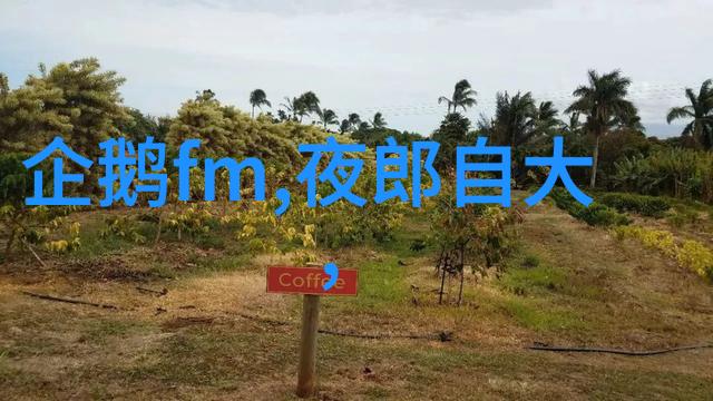 来源于神话故事的成语-古今奇谈揭秘神话中诞生的雅言
