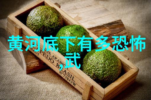 战史风云-烽烟逐浪追踪历史的战役