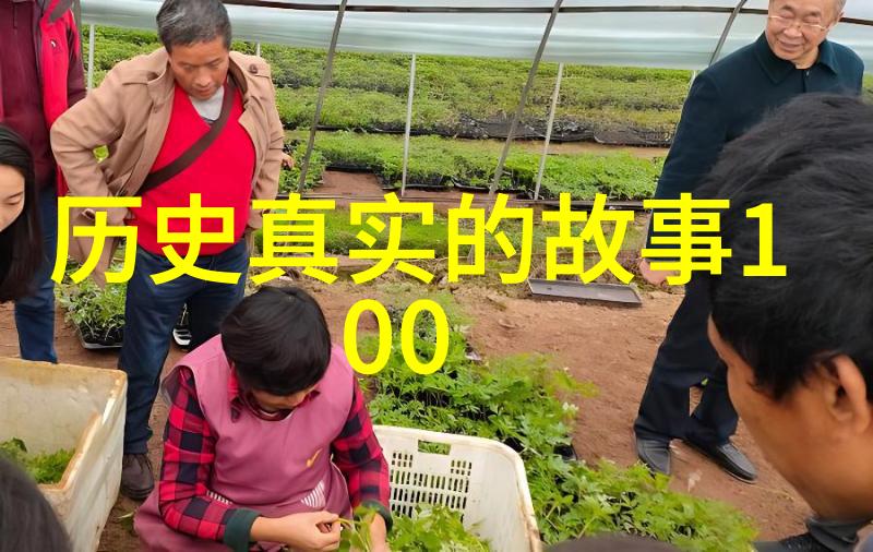 大明王朝映射问题-揭秘历史真相解析大明王朝在现实世界中的映射与误区