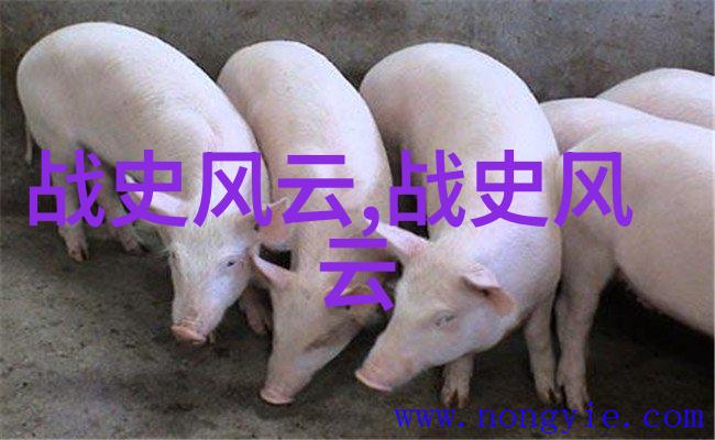 幻梦之门中国神话故事电子集