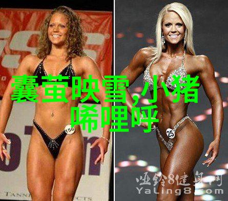 历史上的孤傲者司马迁的史记之旅