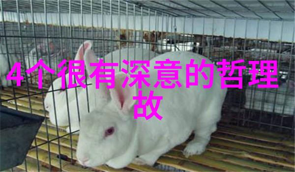 揭秘宋朝地图秦桧之死与皇帝昏庸的深层谜团