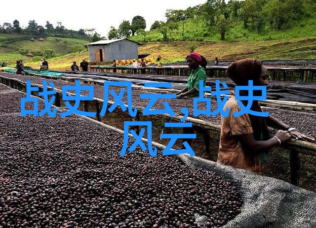 康有为与太平天国的神秘联络