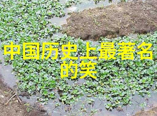 小熊的智慧果园