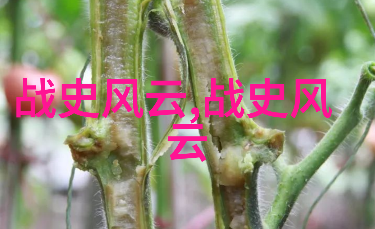 黄河底下有多恐怖-探秘黄河深渊揭开那些隐藏在水下的秘密