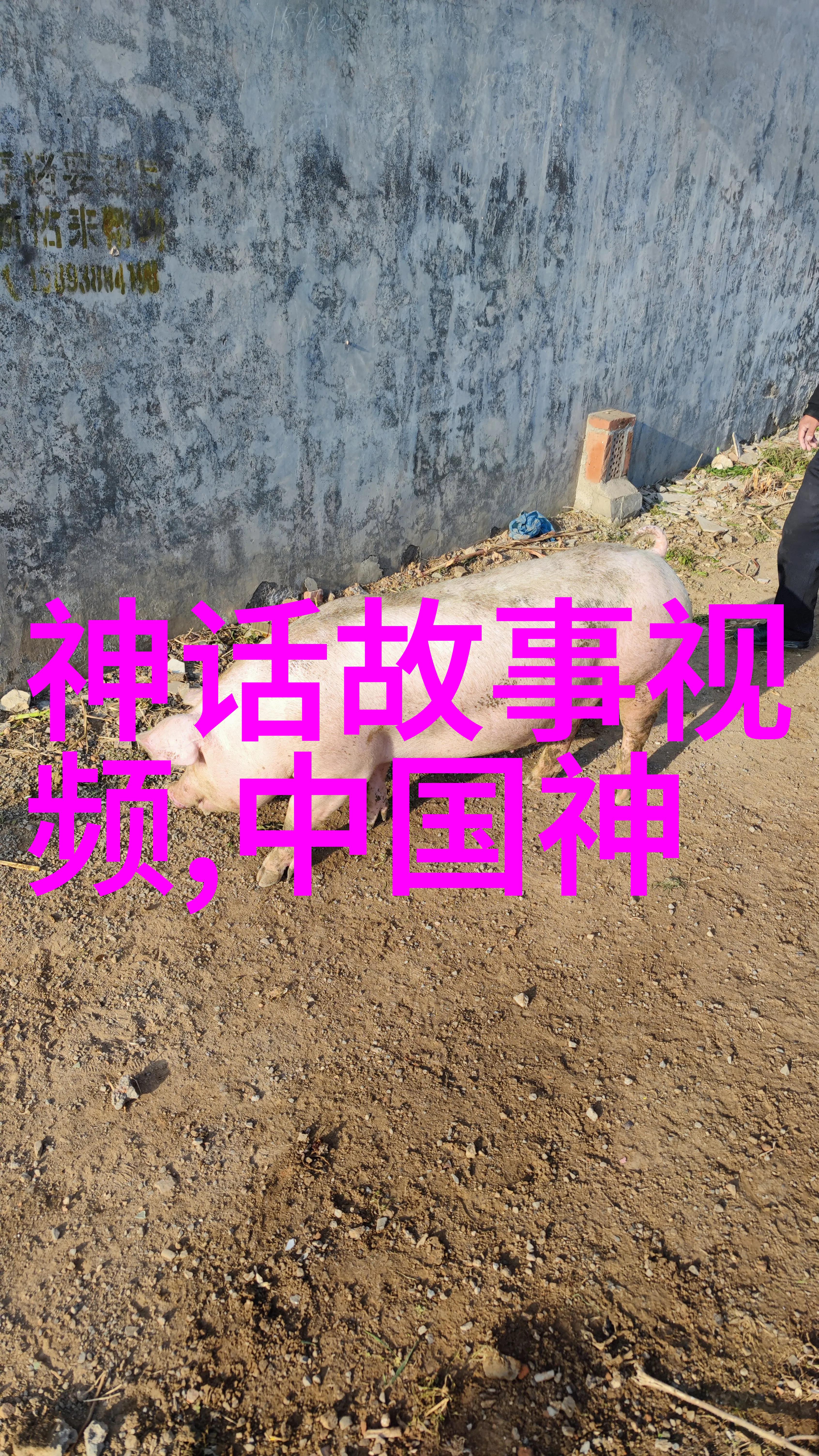 明朝血脉图文官谭纶兵部尚书兼戚继光