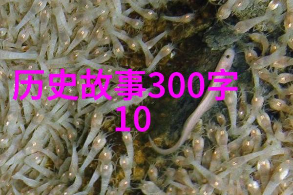 一天中的趣事日记珍妃坠井之谜解开自愿投井还是他杀