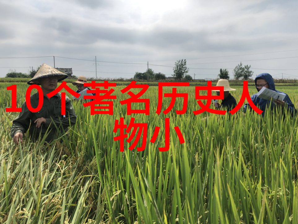 后土娘娘的智慧民間傳說中女性力量與母愛