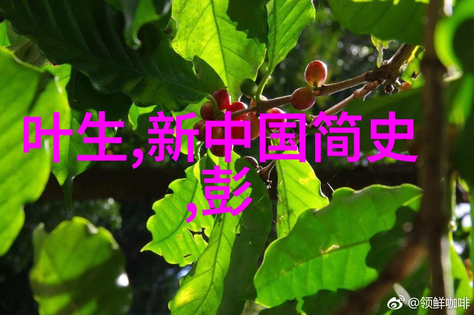 中国神话故事大全探索传统文化与民间信仰的深度