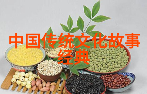 清朝历史简介范克平的数据视角