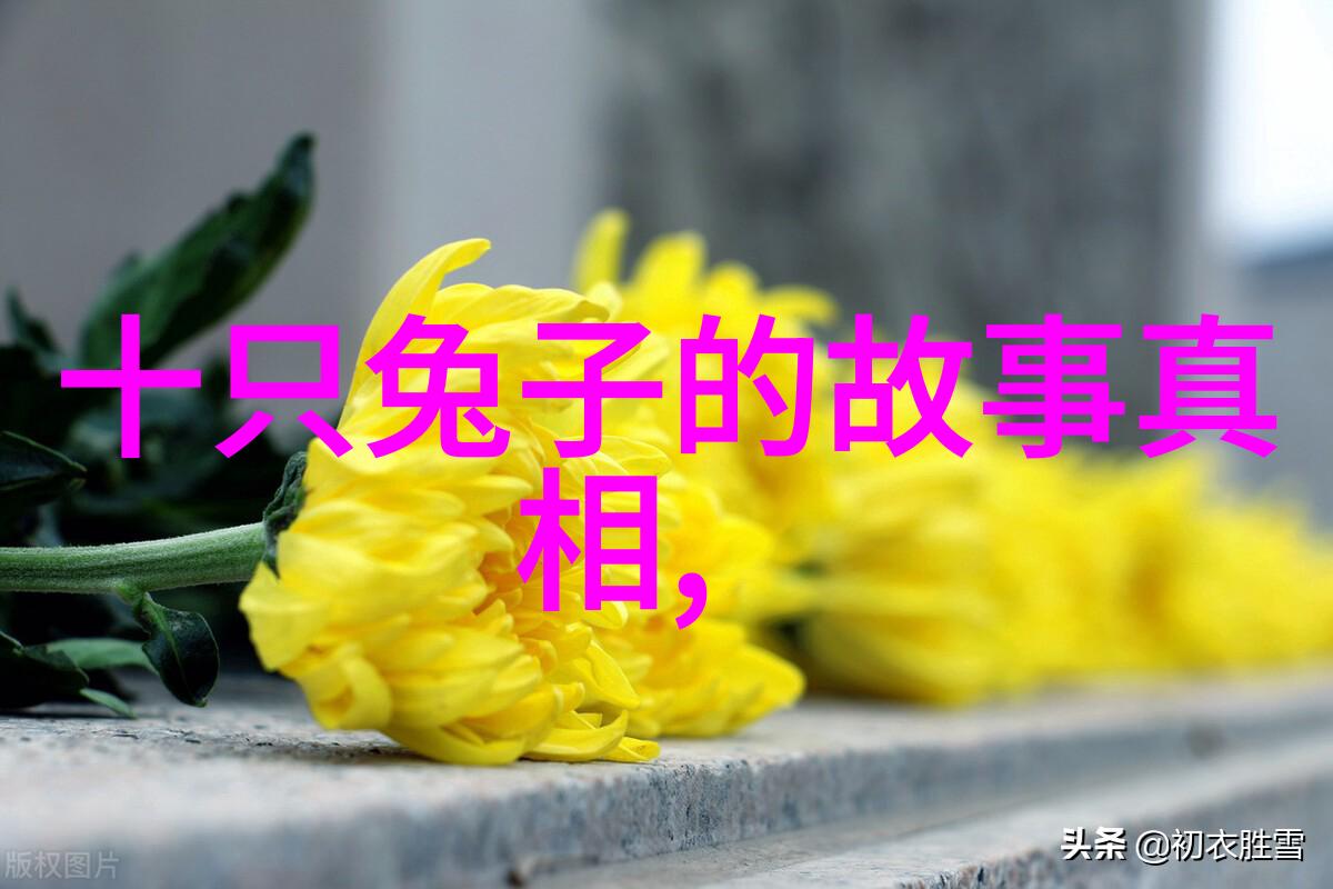 中国民间故事-传说中的龙马与古井探索中国民间故事的深远文化价值