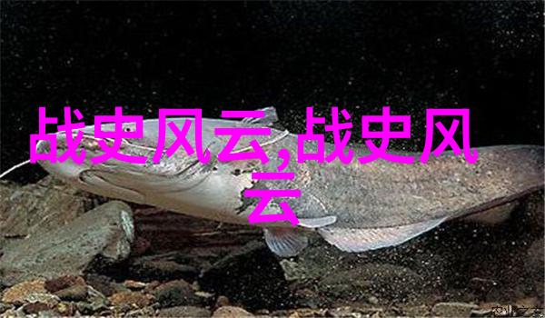 中国古代的神话传说之美龙凤呈祥与五行奇遇