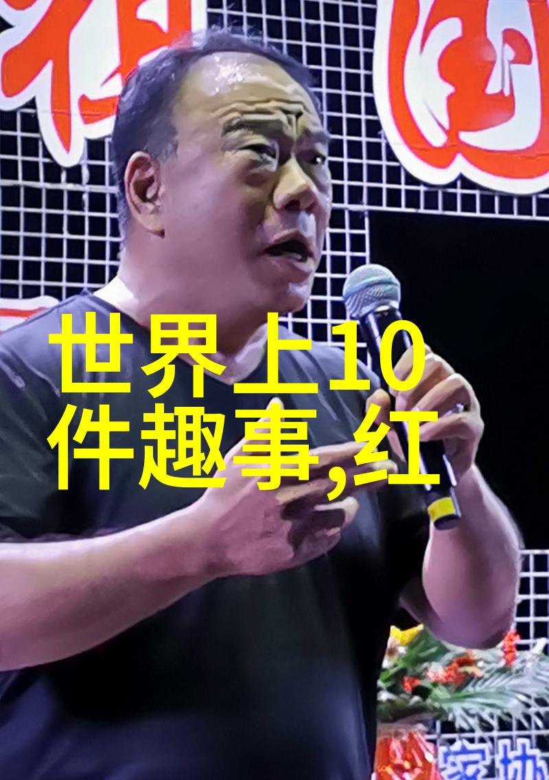 战火中的英勇一支未曾倒下的德国坦克师