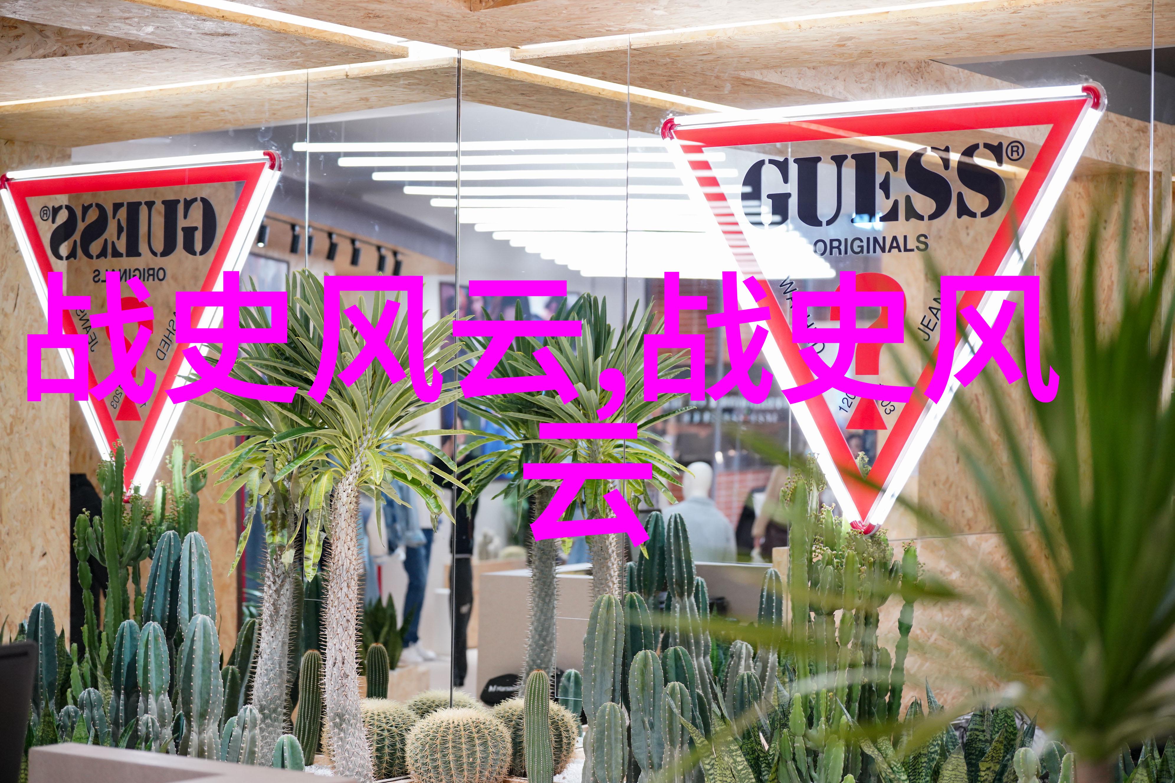 孤独的旅行者她在荒岛上如何生存下来