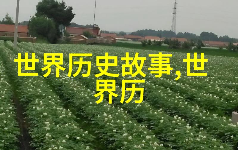 明朝的名字背后一场文化与政治的博弈