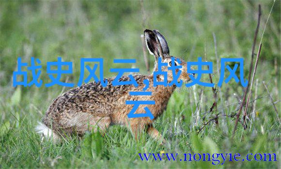 古代神话中的美丽女仙古代中国神话中著名的美丽女仙故事