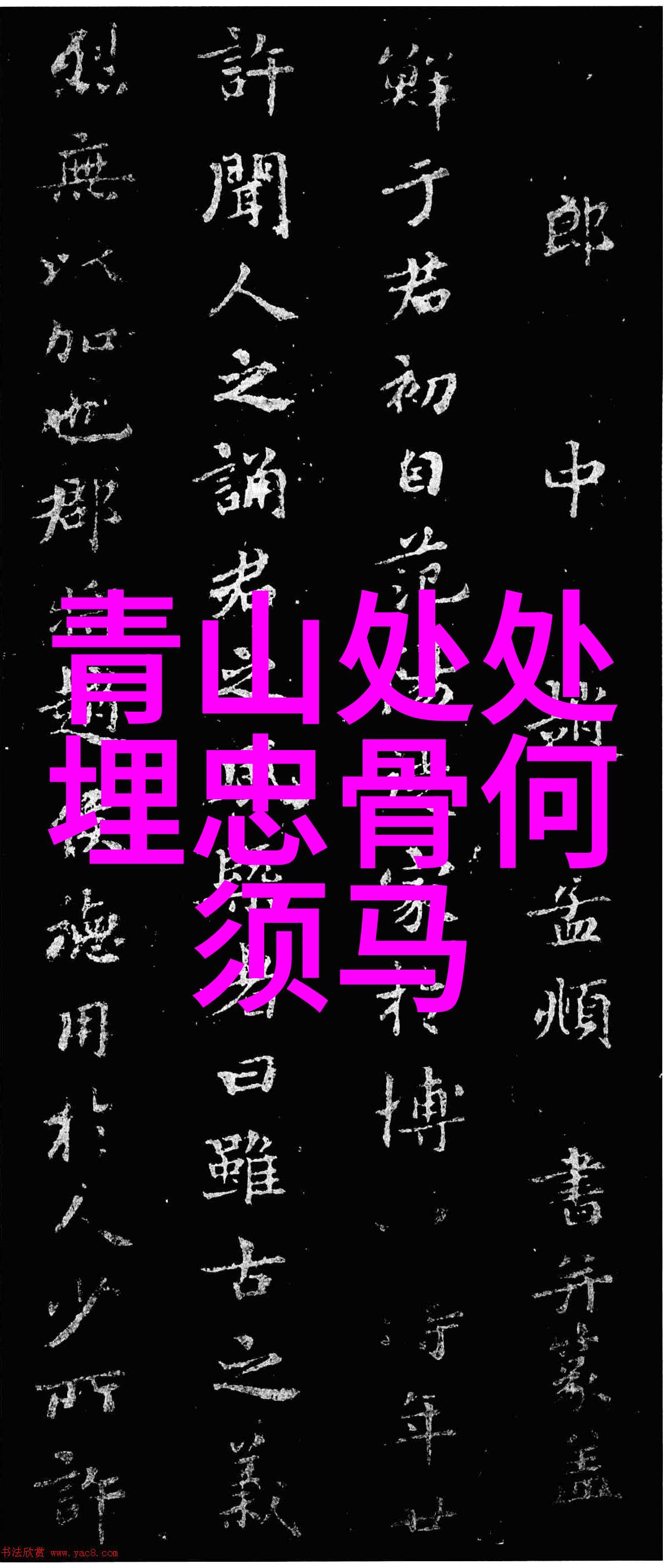 班级的公共玩具第1章我的伙伴们和那些会动的玩意儿