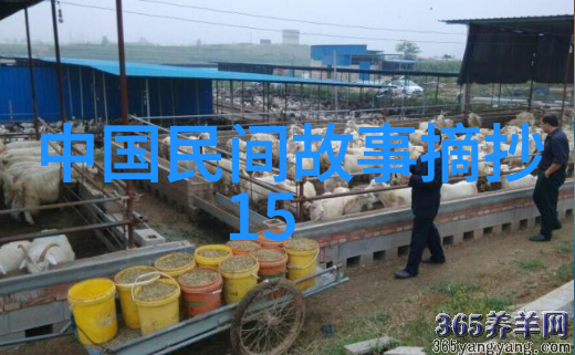 国学操沈复探索古韵激发灵感