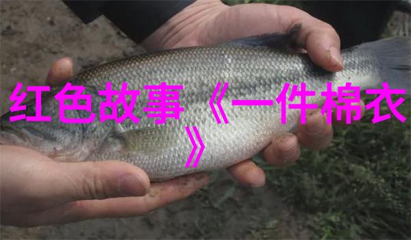 天界之巅的秘密与权力的传说