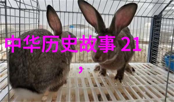 穿越时空的趣味历史探秘中国近代那些料未料的事