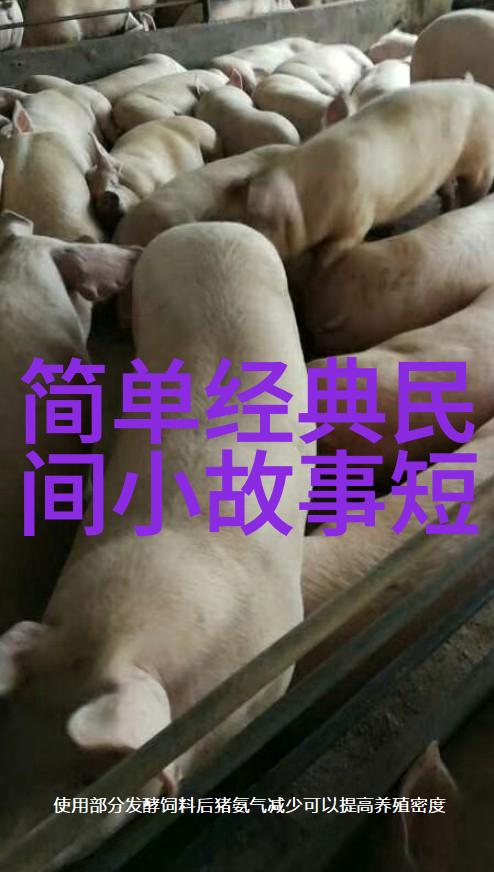 孤独皇后之谜杨坚开国之路为何不称隋太祖