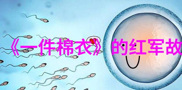 对比西方的圣经我们如何看待作为文明基础的中国神话故事集合