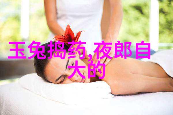 北魏灵太后杜飞虎的自然门武功