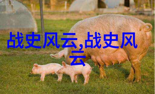 月下神话古代文化中的明灯