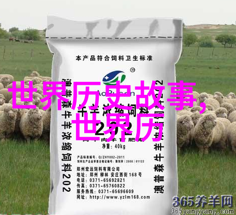 穿越时空探秘揭开中国古代帝王名字背后的故事与智慧