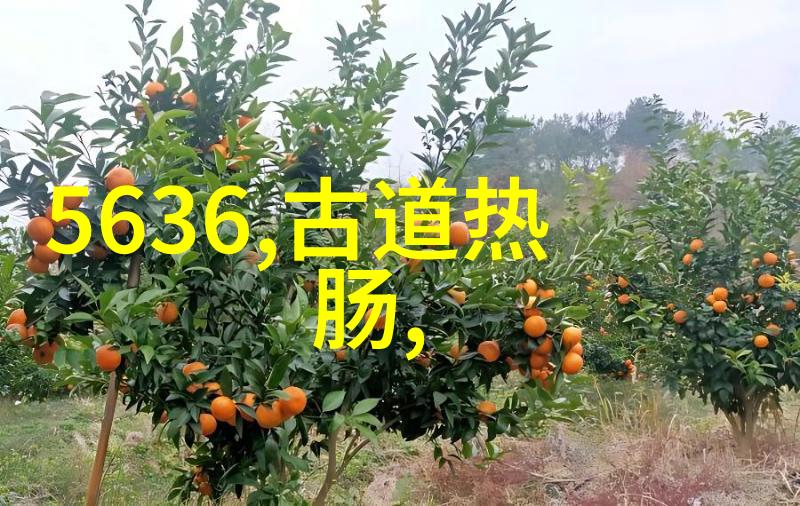 穿越时空的历史镜揭秘明朝那些隐秘事迹