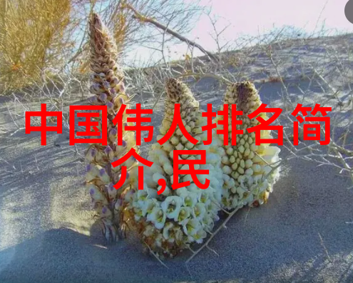 寻找亚特兰蒂斯的痕迹与理论