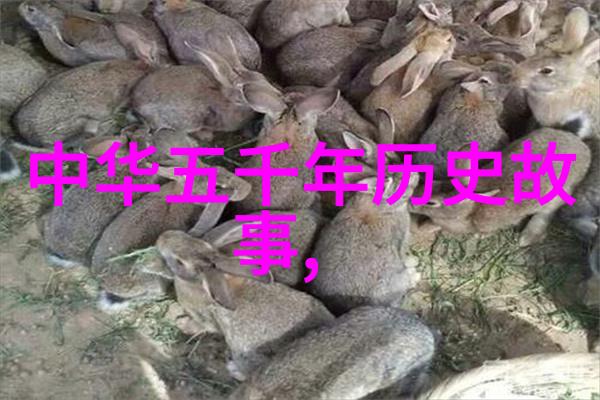 时间回溯者重新审视历史通过上古神话的眼镜