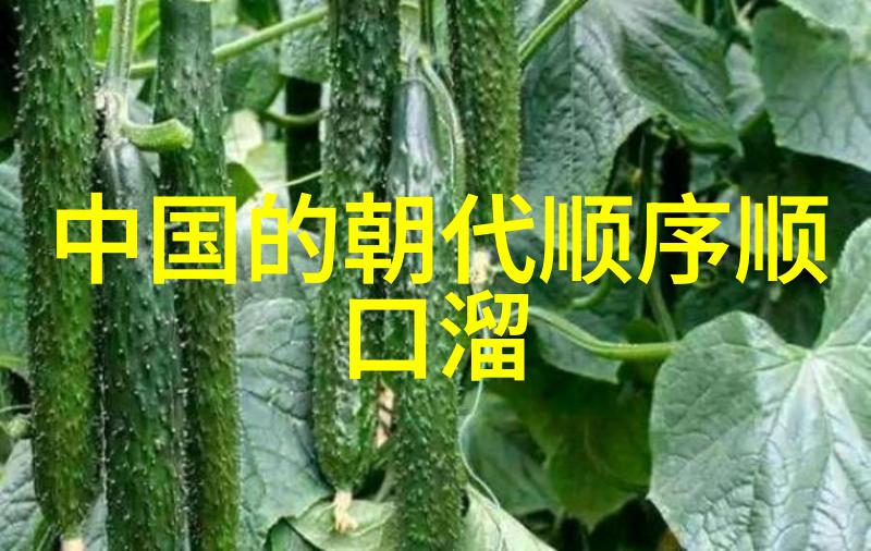 1986年春晚为什么那么吓人我当时都惊魂未定解密那个让我们毛骨悚然的春晚