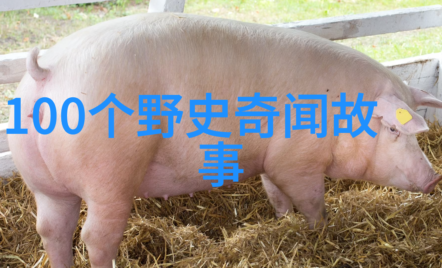 揭秘宝葫芦解锁传说中的奇迹