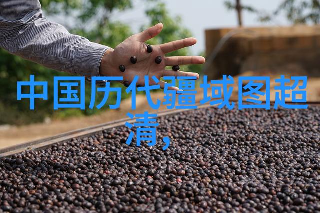 朱允炆下落之谜揭秘明朝佥妻制度的神秘面纱