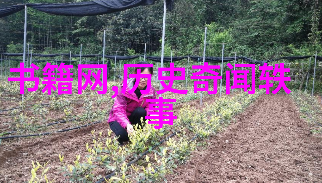 中国神话故事100个我来给你讲一讲那些古老又迷人的传说