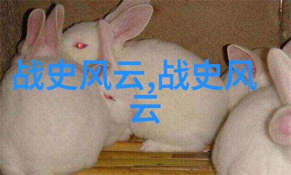 刘克明长津湖战役中的假太监后宫战火中轻盈调戏