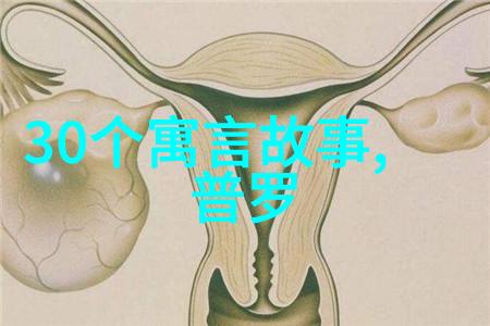 历史网站推荐探索古代文明的数字之旅