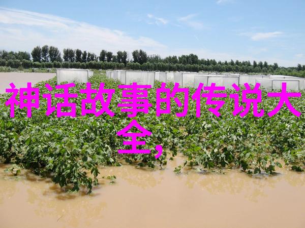 穿越时空的龙凤中国经典神话故事大全中的奇幻篇章