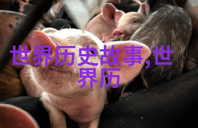 中国历史英雄人物传记中华古代英杰风采展