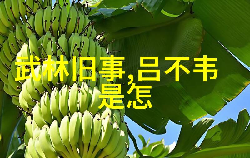 赵兵伟演绎王善朴唱段体现豫剧票友精神