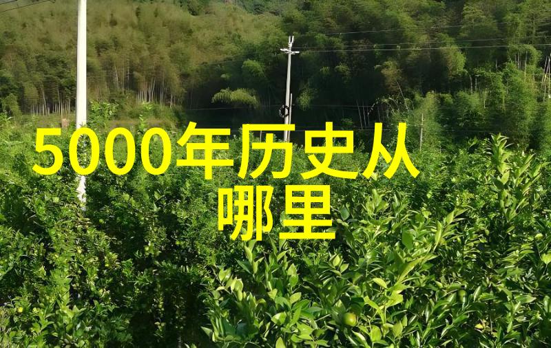 神机妙算的奥秘揭示预知未来的智慧