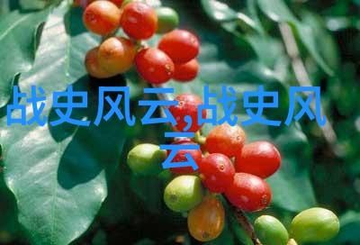 白登之围社会中的表白艺术(前200年)